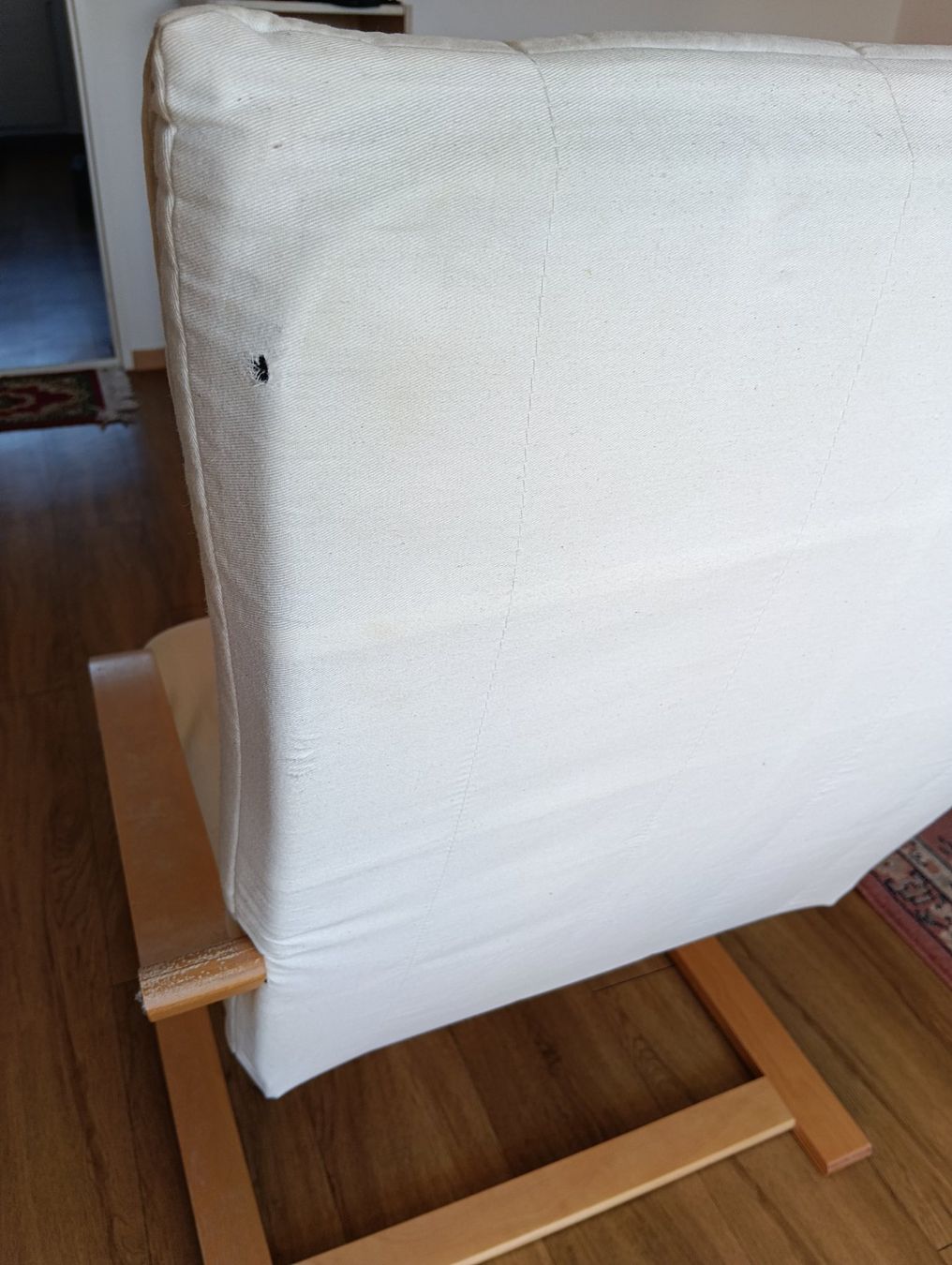 Poltrone: Sessel – Usato da Kleindietwil venduto da kon_9nml 5