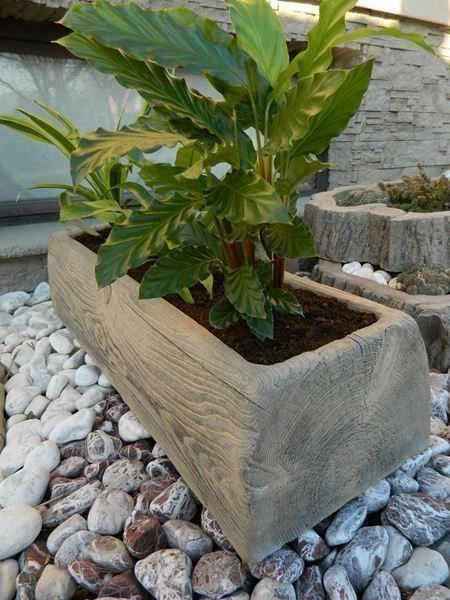 Vasi per fiori: Beton Blumentrog  mit Holzimitation / Ausverkauf – Nuovo (secondo la descrizione) da Herbetswil venduto da AHA-Garten 5
