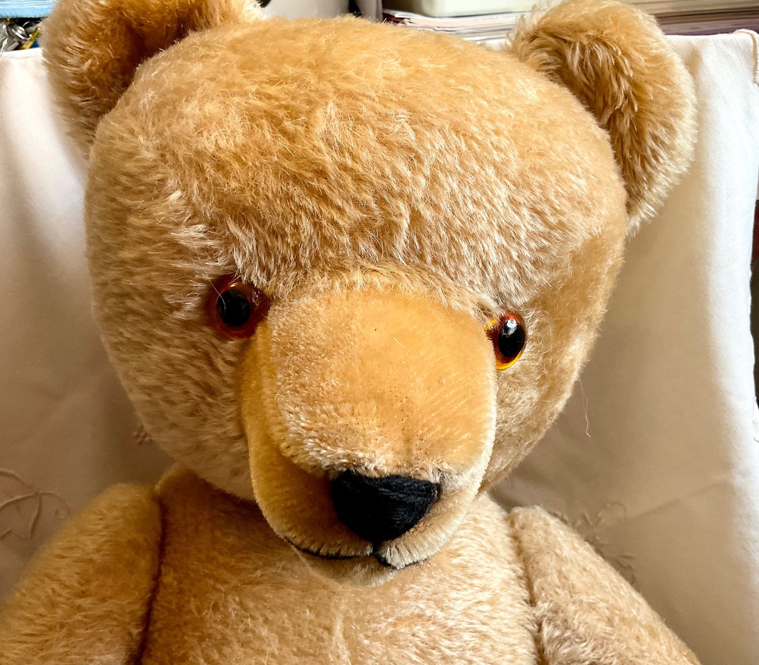 Teddy Hermann Jouets: Teddy Bär – D'occasion à Herisau par eri_2tb5 8