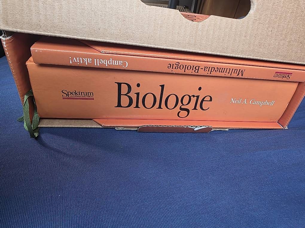 Libri: Biologie, Campbell  – Usato da Tägerwilen venduto da pre_tpc6 1