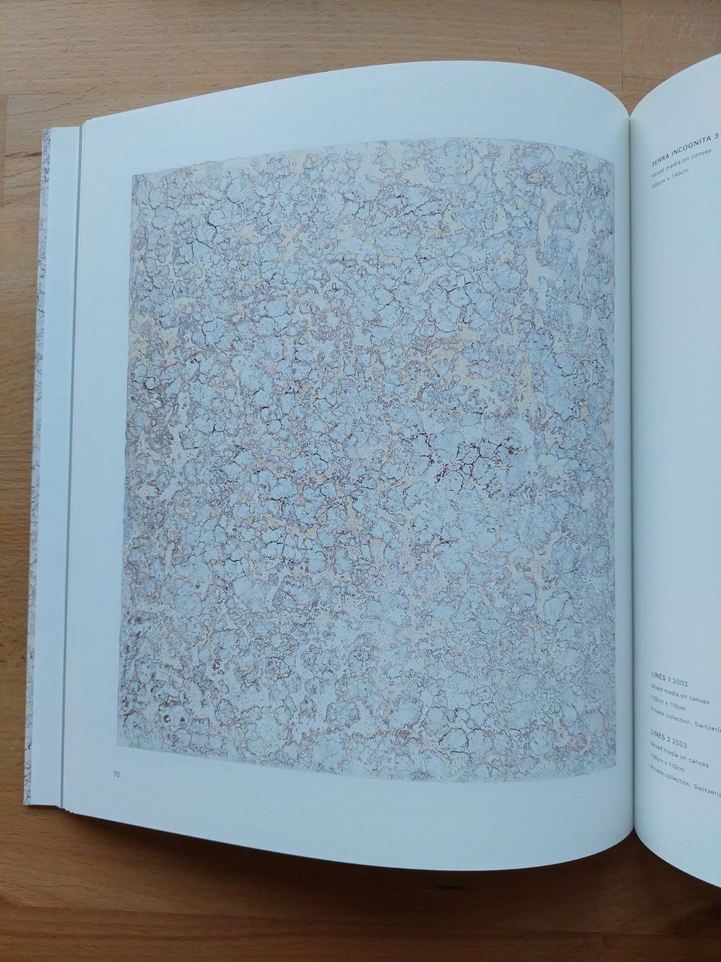 Libri: Peter Panyoczki Distance and Proximity Recent work – Usato da Obfelden venduto da Foto_Bild_Kunst_Buch 6