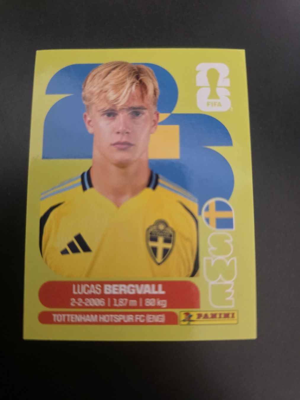 Panini Carte collezionabili: Panini Sticker SWE8 – Nuovo (secondo la descrizione) da Kriens venduto da Caroline_Schweiz