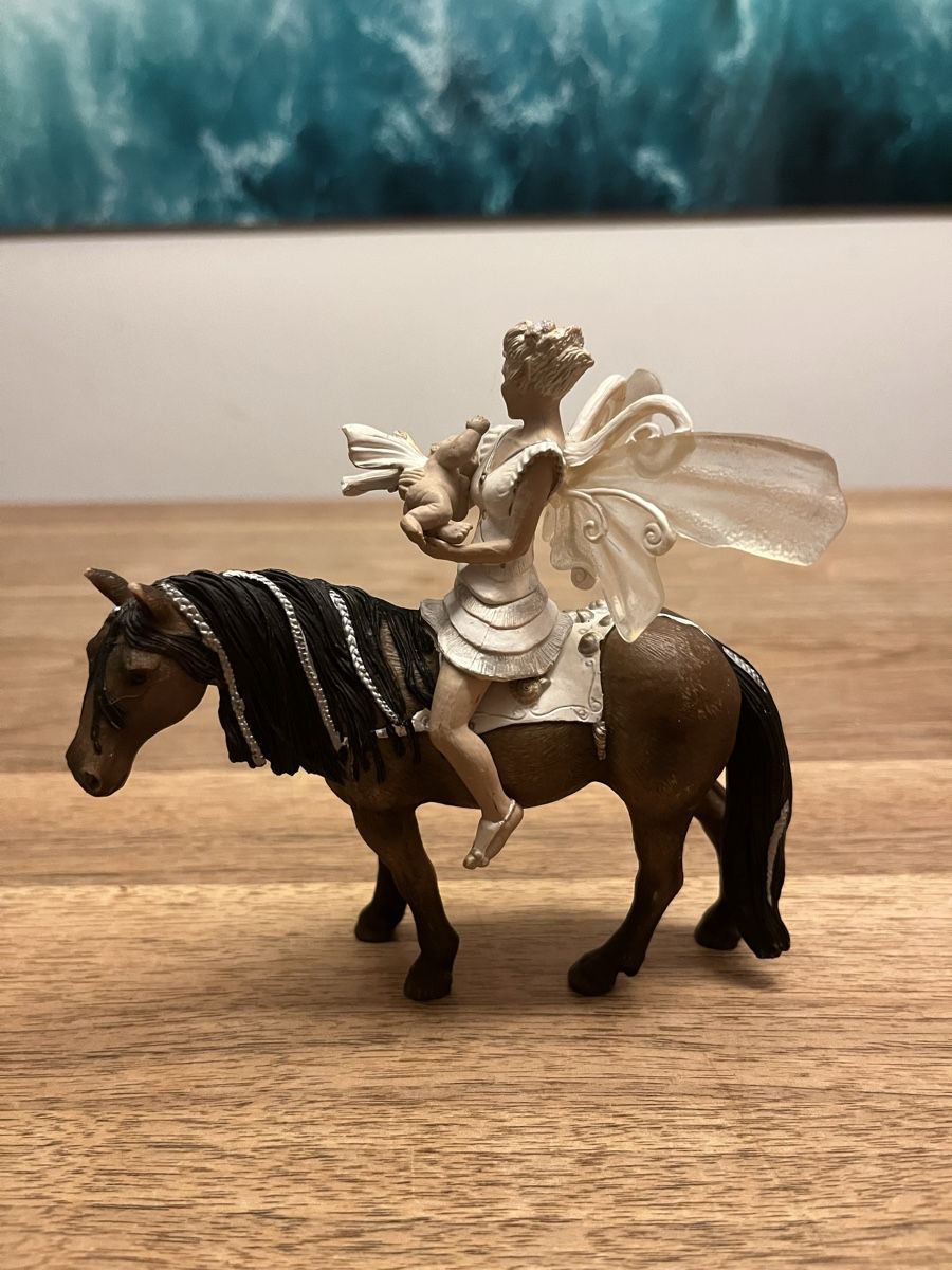 Schleich Giocattoli: Fantasieschleichset – Usato da Weesen venduto da D0101D 1