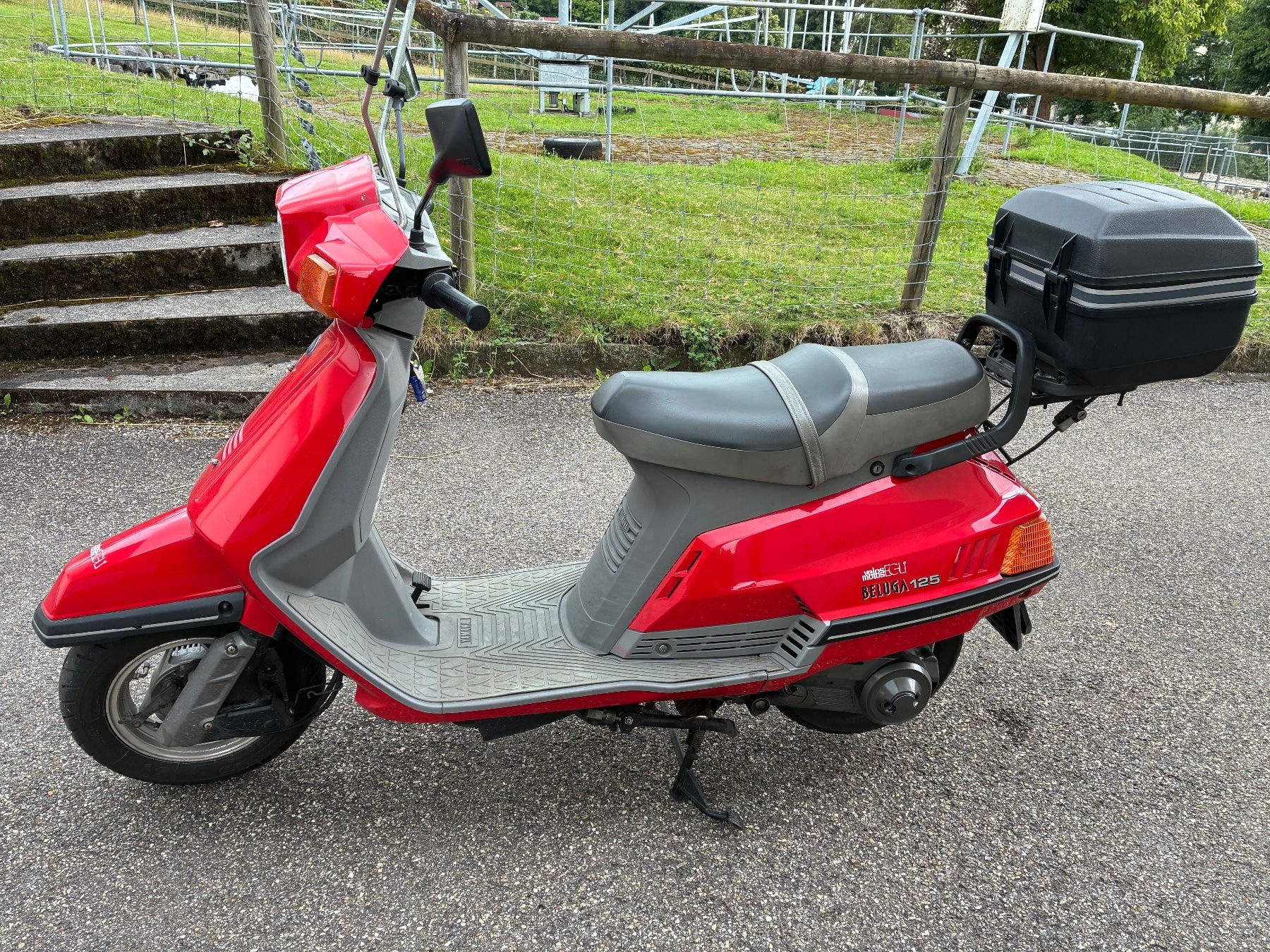 Yamaha Scooter: Yamaha Beluga 125 ab mfk – Usato da St. Gallen venduto da zx10r