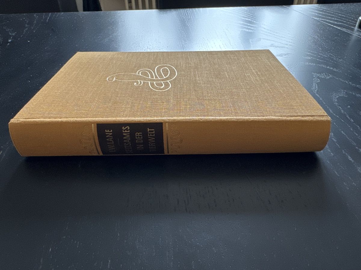 Libri: Seltsames in der Tierwelt – Usato da Erstfeld venduto da Mario_boe0 6