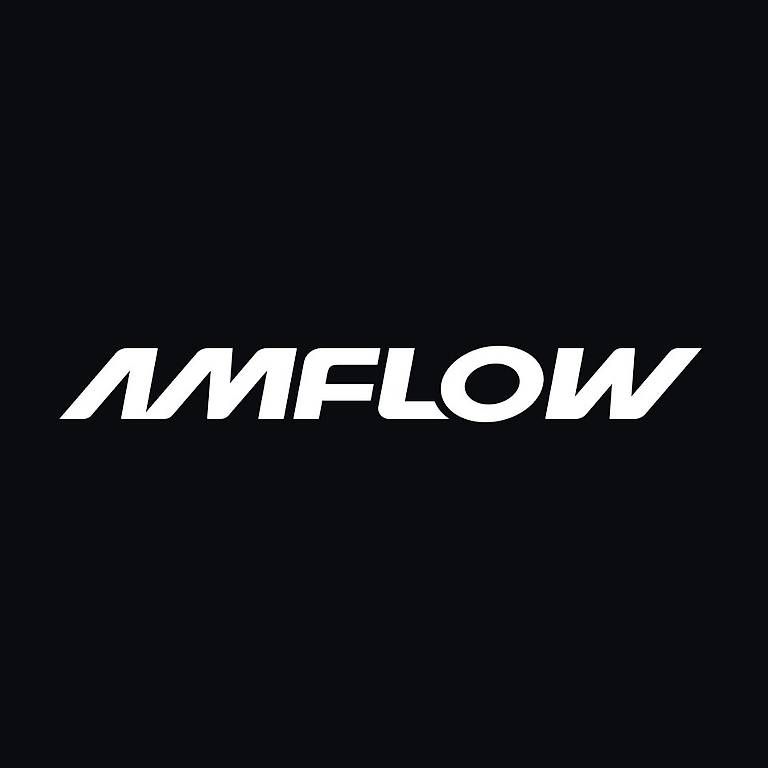 Pezzi di ricambio: Amflow Enduro Carbon -Lenker 800mm – Usato da Hausen AG venduto da Nasdaq0 2
