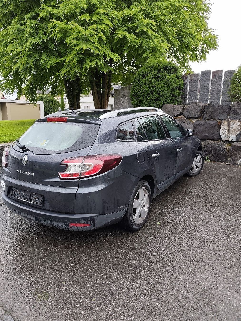 Renault Automobili: Renault Megane – Usato da diepoldsau venduto da V_1990 1