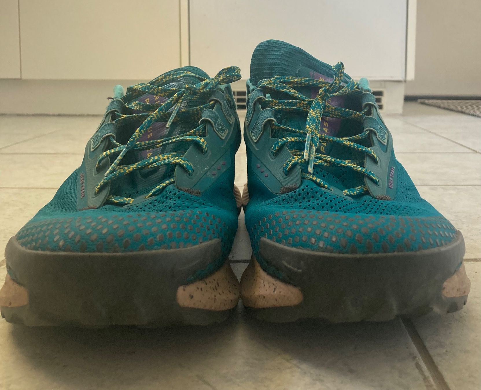 Nike Herrenschuhe: Nike Pegasus Trail 3 – Gebraucht aus St. Moritz von MistyRain 3