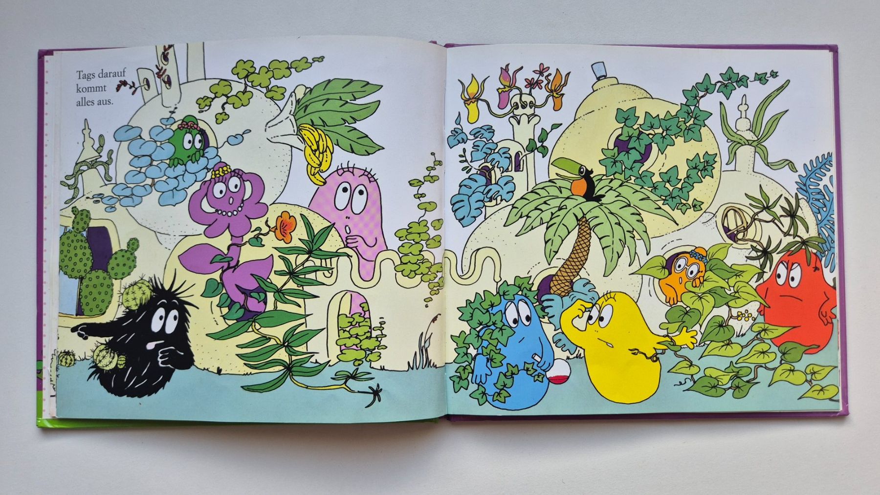 Libri: BARBAPAPA     💚💜💛    Der Garten – Usato da Niederweningen venduto da Obson 3