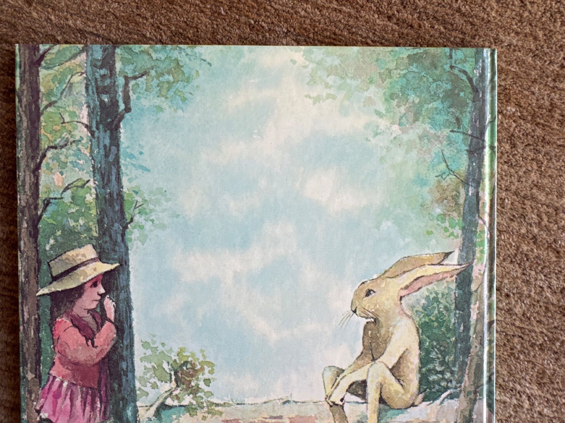 Libri: Herr Hase und das schöne Geschenk – Usato da Aarau venduto da Kilauea 8