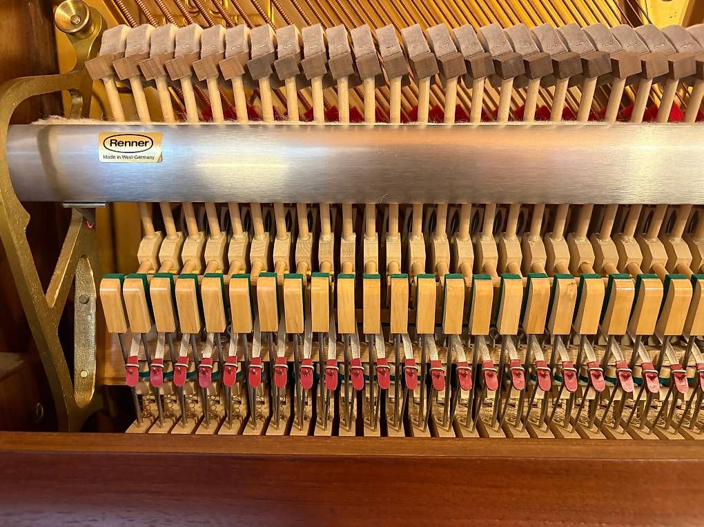 Strumenti musicali: STEINWAY & SONS V-125 Modell in Nussbaum – Usato da Neuenhof venduto da bkolarov 3