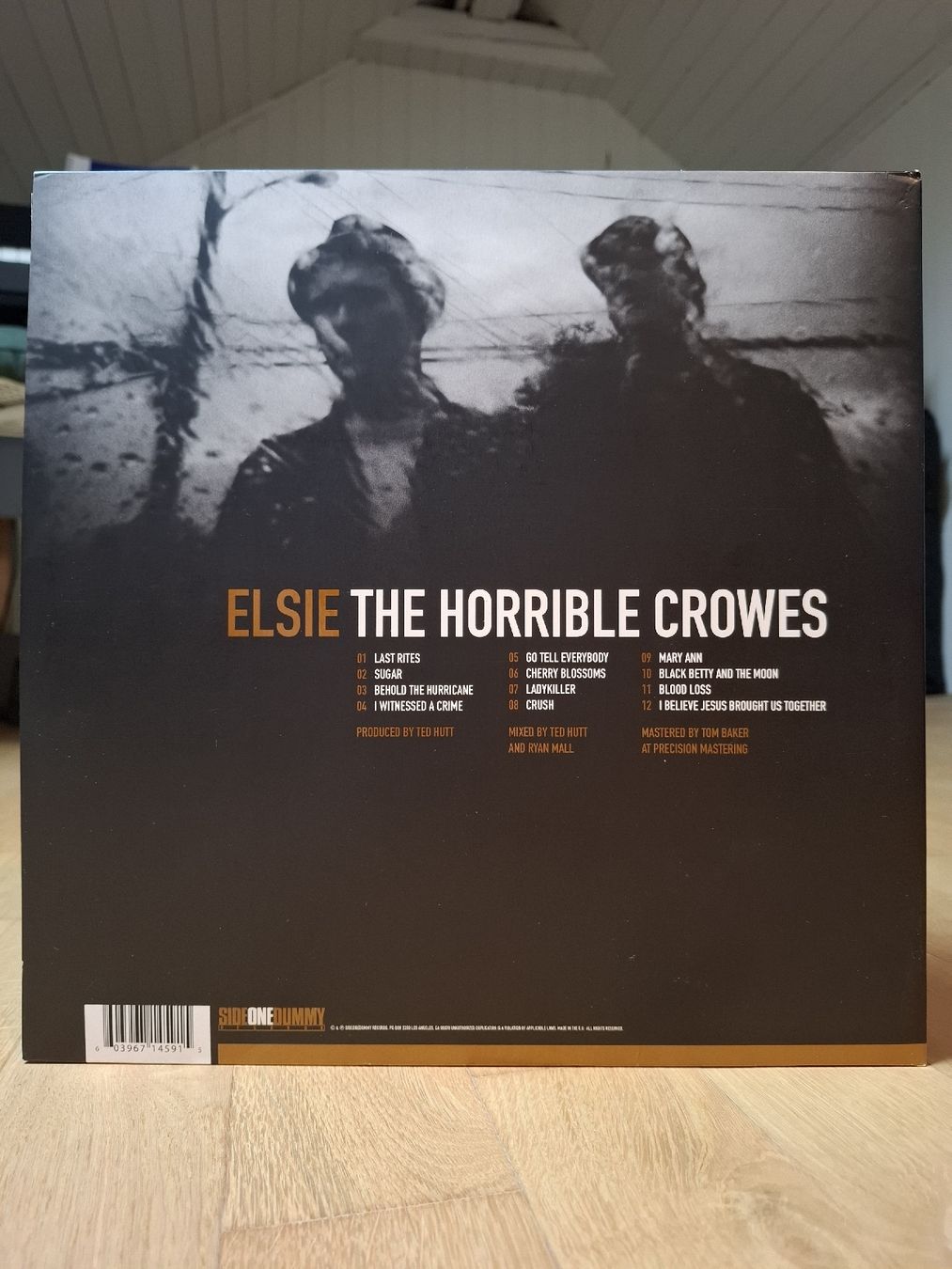 Dischi in vinile: LP The Horrible Crowes - Elsie – Usato da Winterthur venduto da Padrillio 1