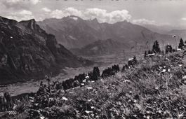 Ausblick von Schönhalden ob Flums gegen Gonzen und Falknis