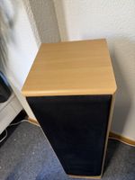 2x 400-Watt-Boxen analog