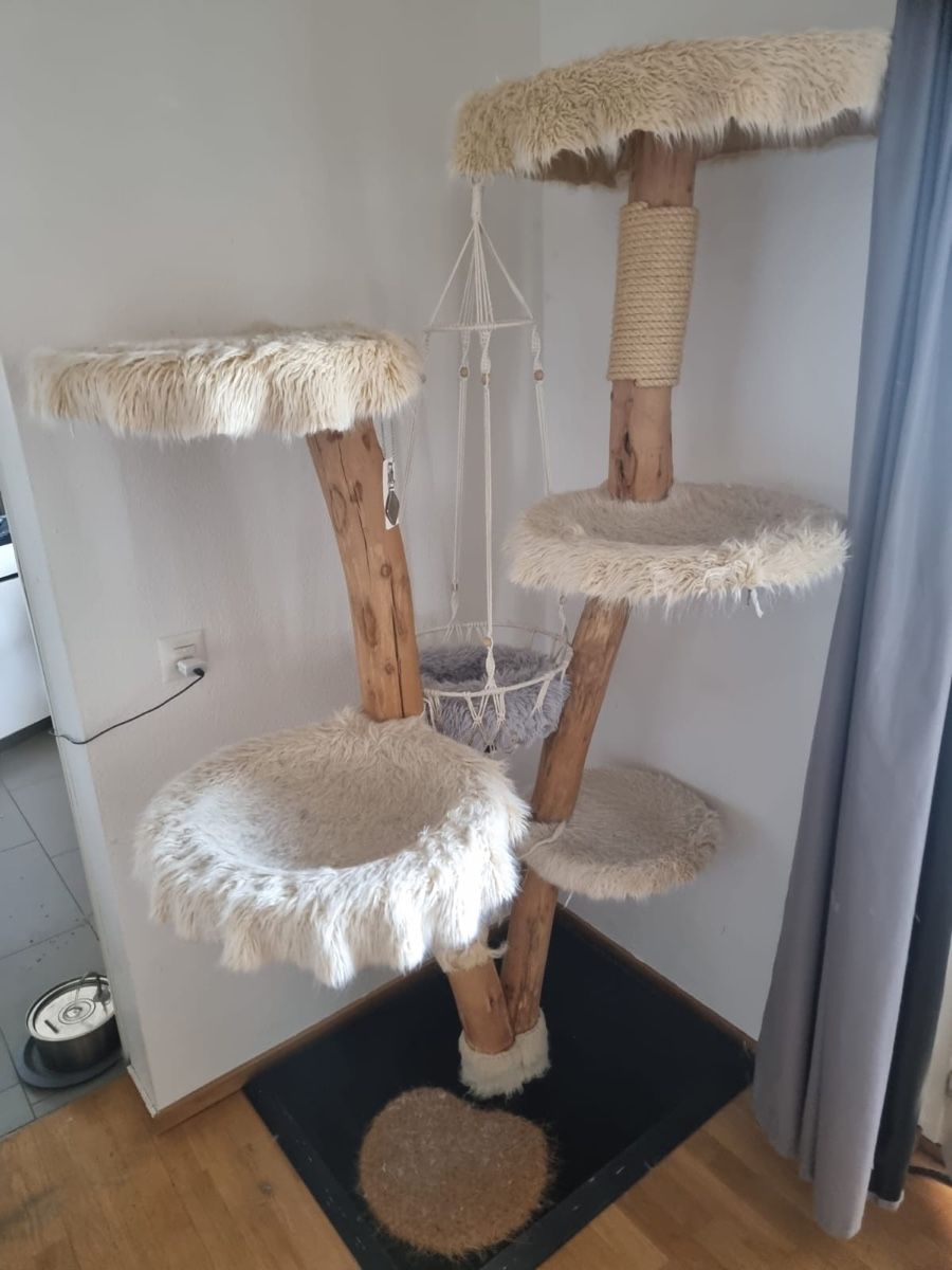 Tiragraffi: Katzenkratzbaum aus Naturholz – Usato da Regensdorf venduto da dan_p2pm 2