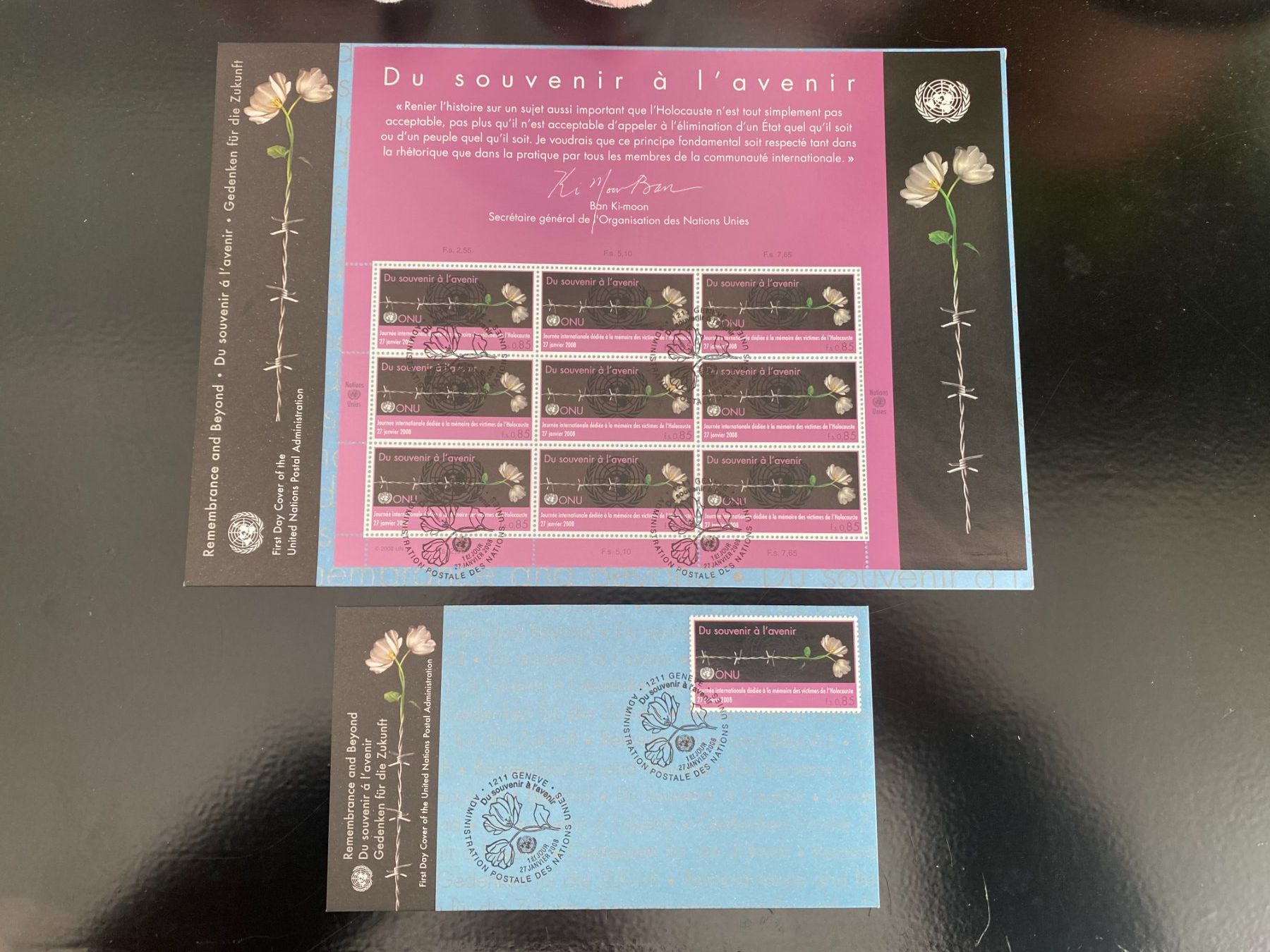 Tutti i francobolli: 2008 / ONU UNO Genf / 2x FDC / Znr: 595 – Nuovo (secondo la descrizione) da Grand-Lancy venduto da Dany1973