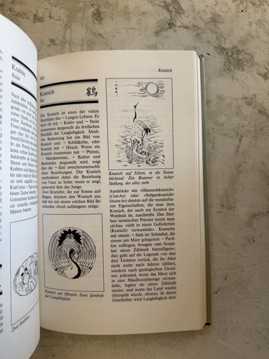Libri: Lexikon chinesischer Symbole – Usato da Dietikon venduto da Buchantiqdietikon 3