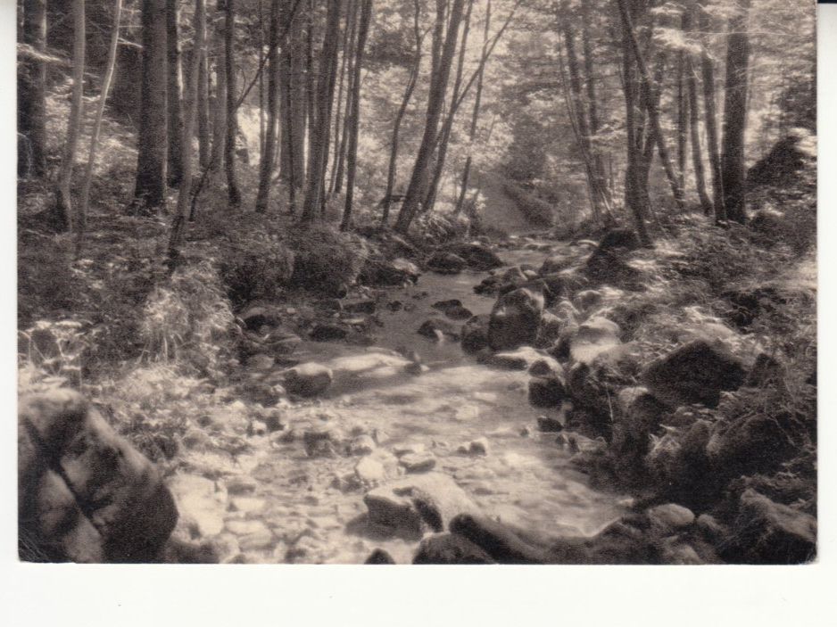 Ansichtskarten: Blaukreuz Jugendwerk 1964 – Gebraucht aus Bürglen TG von StampGraf