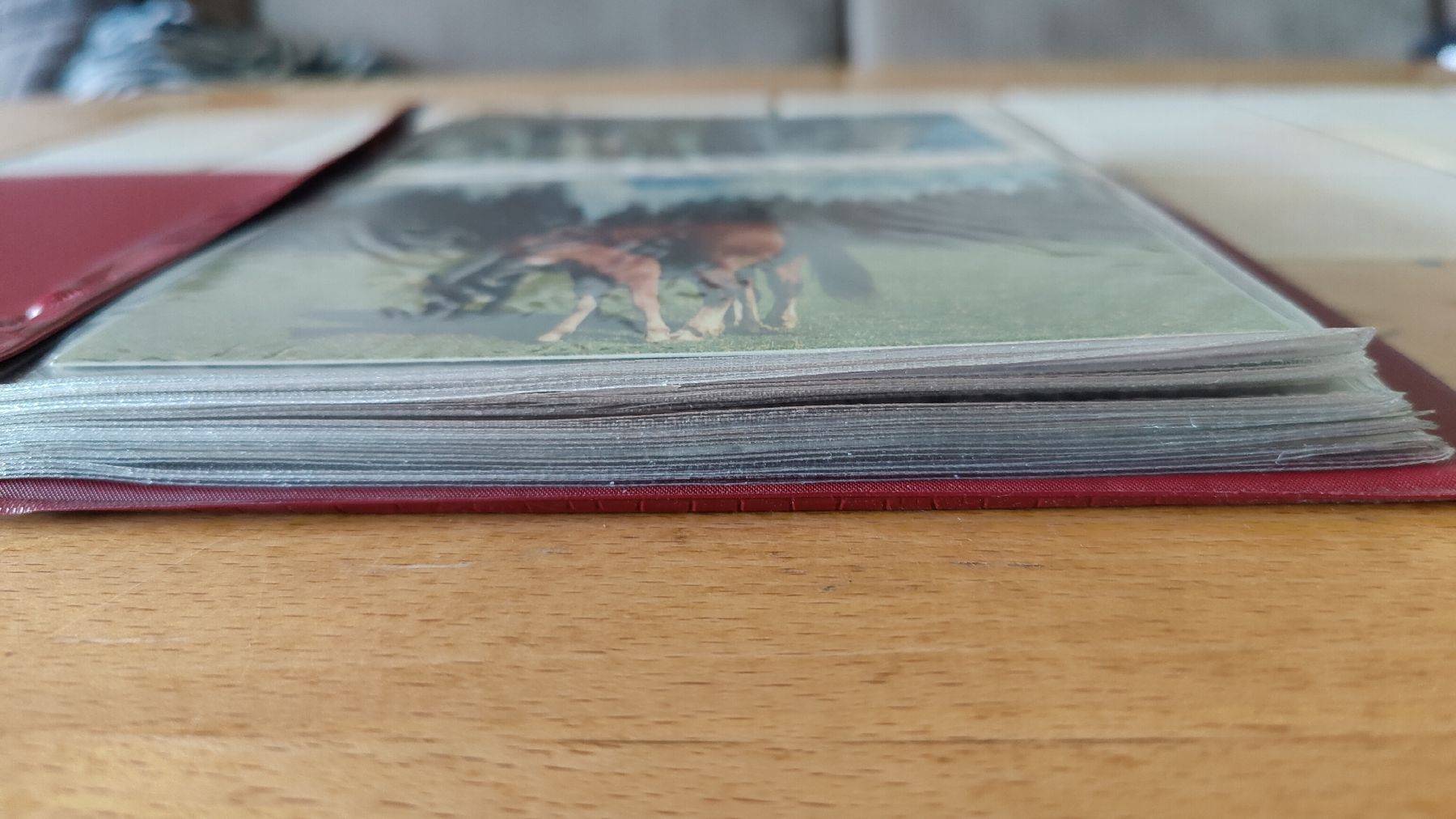 Cartoline postali: Alte Ansichtskarten Sammlung im Album (L15) – Usato da Neuenhof venduto da SchnaeppliAllerlei 2