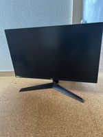 LG Monitor