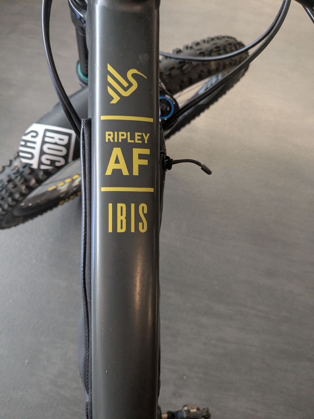 Ibis Vélos: Ibis Ripley AF 2023 – Défectueux à Meilen par Claudio82 8