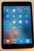iPad mini