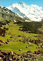 WENGEN