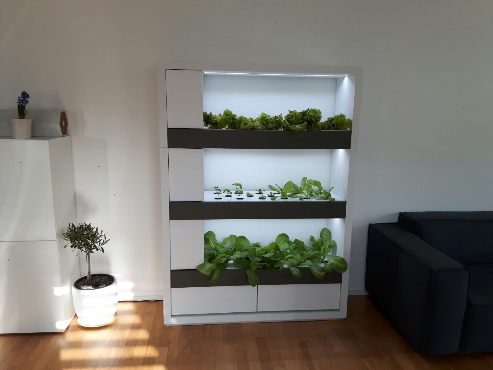 Altro: Hydroponik - Smart Indoor Farming System – Usato da Merenschwand venduto da palyaa 6