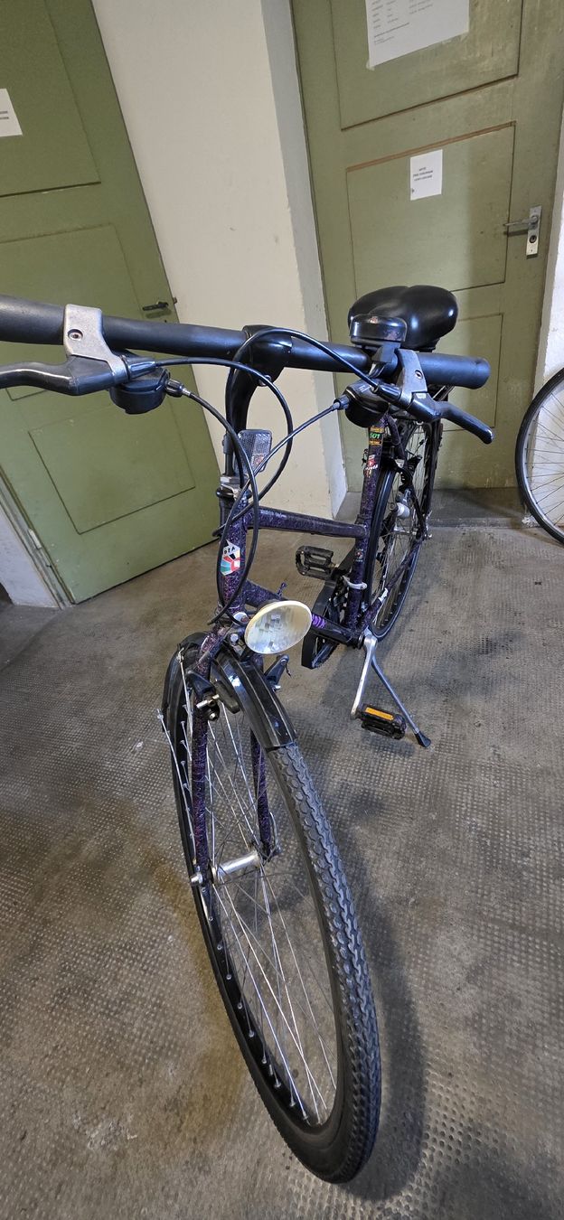 Velos: Damen Velo – Gebraucht aus Solothurn von mar_8qf8 1