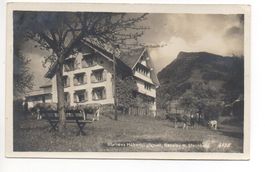 NESSLAU Kurhaus Hüberli, Lutenwil - Bauer mit Kühen