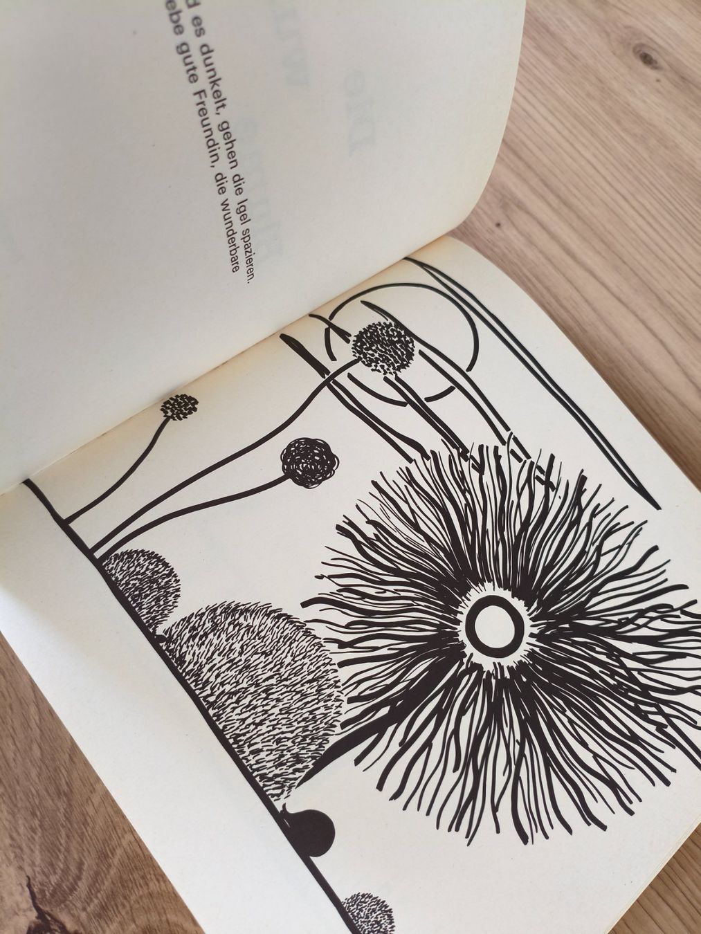 Libri: Die wunderbare Blume von Beat Richner (80er) – Usato da Schaffhausen venduto da philscardstore 5