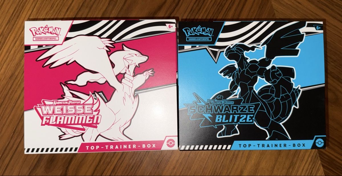 Pokémon Carte collezionabili: Pokemon Top-Trainer-Boxen (leer/empty) – Usato da Bern venduto da Ludixii 1