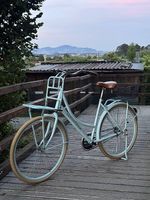 Schönes Cumberland Citybike