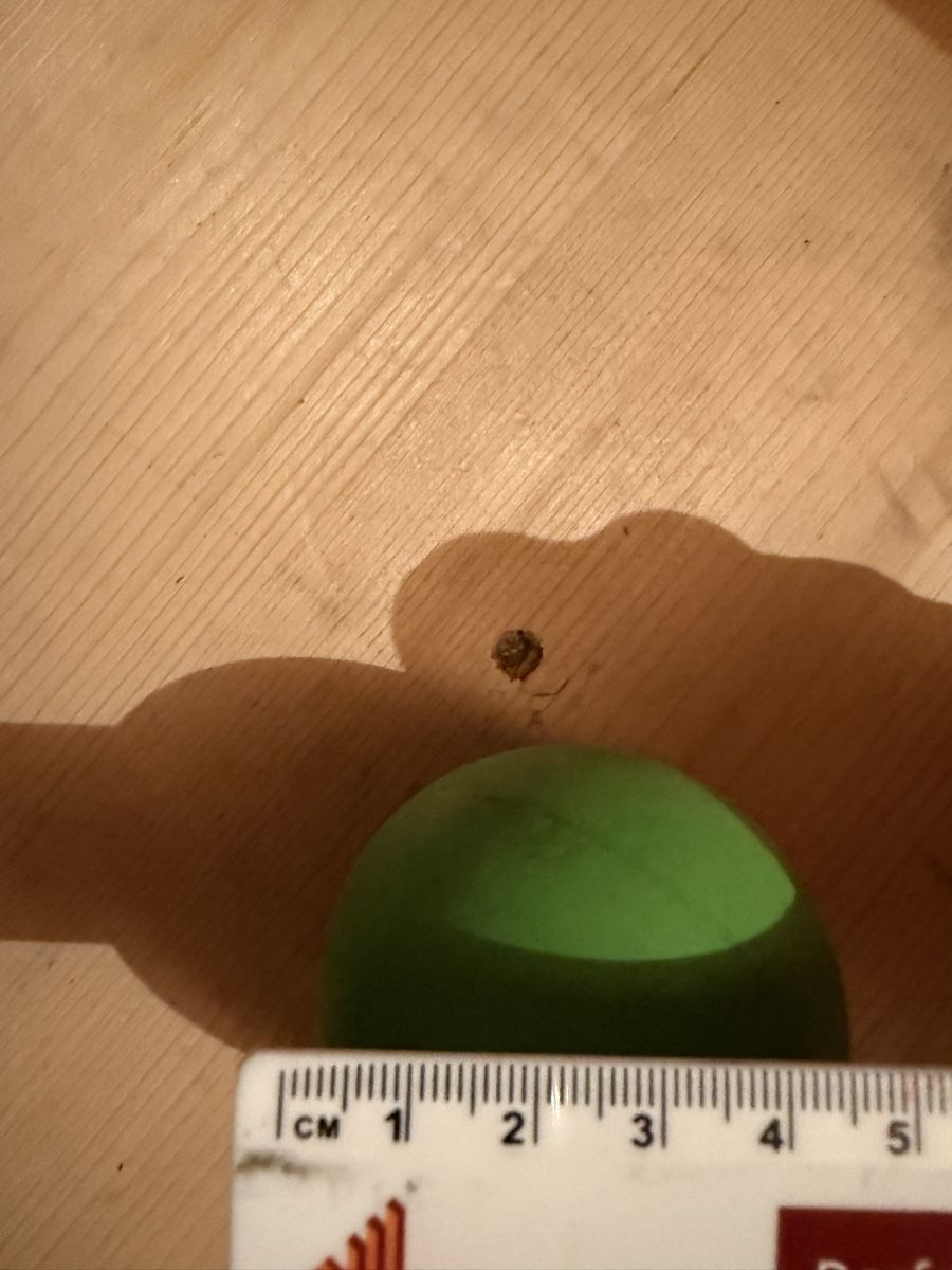 Palloni: Bälle, Bällebad-Füllung – Usato da Brittnau venduto da Malwe 2