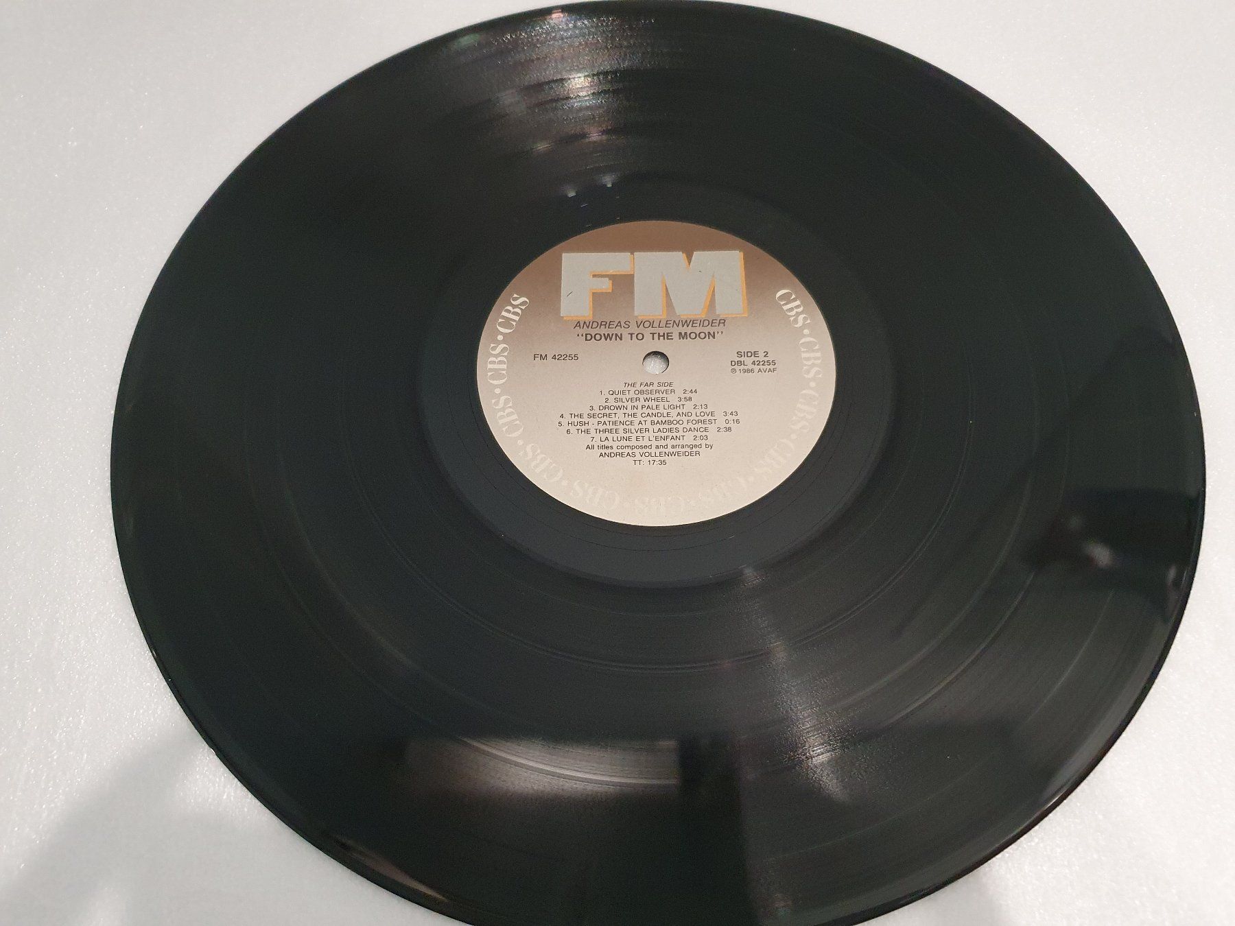 Dischi in vinile: Andreas Vollenweider – Down To The Moon – Usato da Uster venduto da Vinyl-Leidenschaft 5