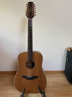 Takamine 12saitig