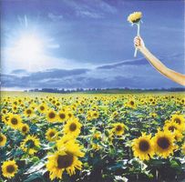 Stone Temple Pilots – Thank You