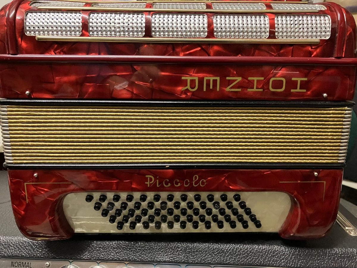Hohner Strumenti musicali: Hohner Piccolo Akkordeon – Usato da Zürich venduto da Fairy07 1