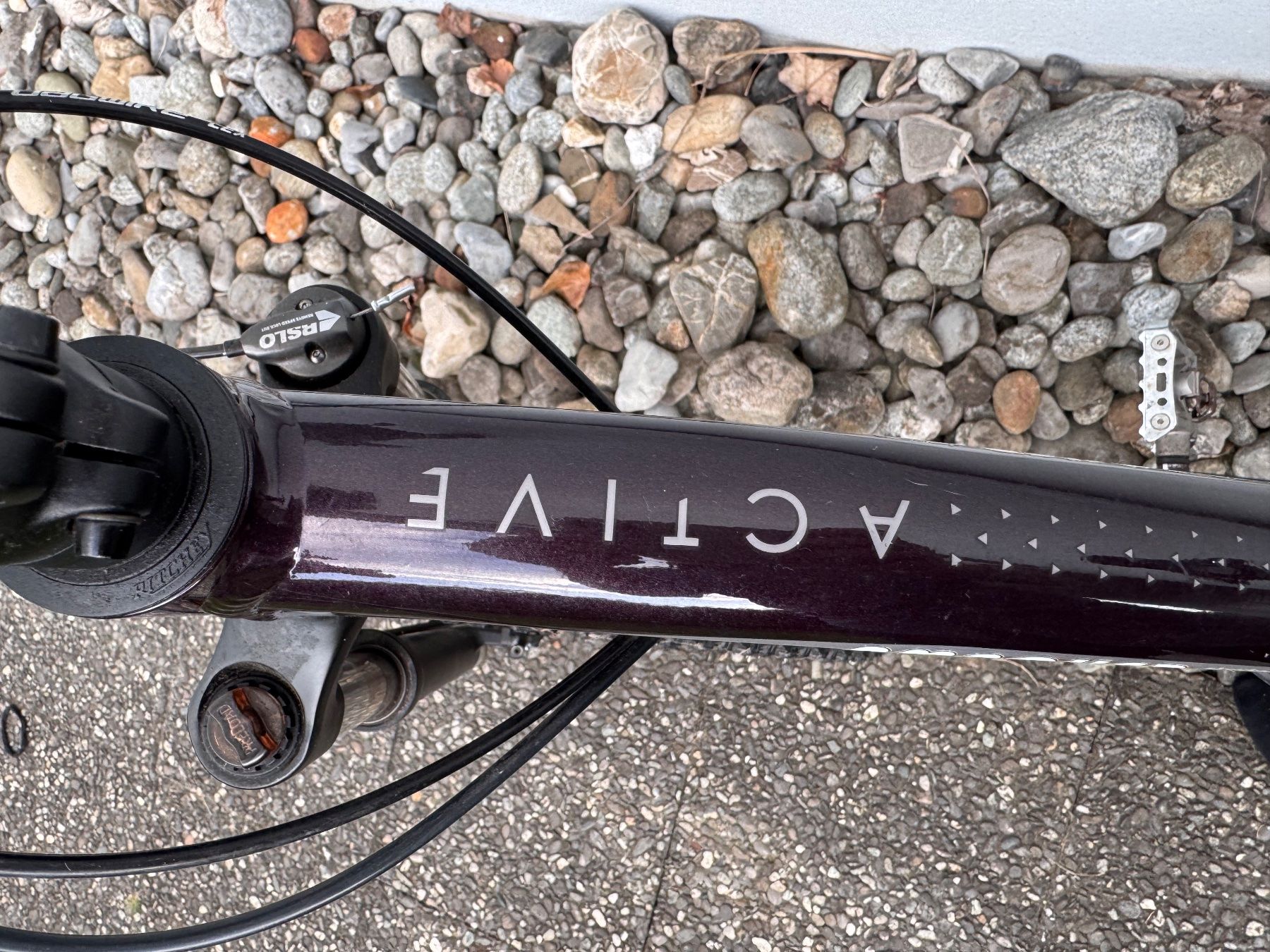 Scott Biciclette: Scott Contessa Active 30 Mountainbike – Usato da Gunten venduto da ceed22 1