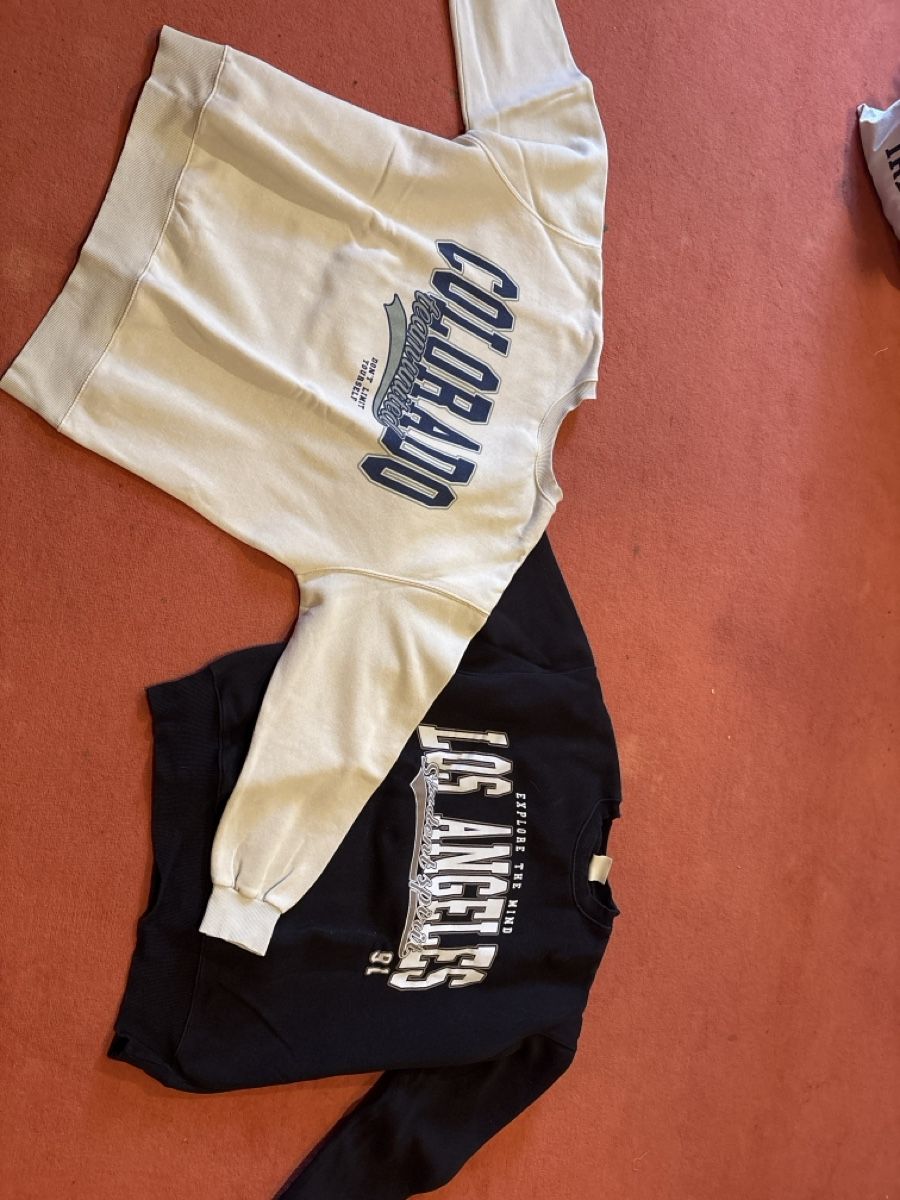 Pull&Bear Maglioni & Felpe: Zwei Pullover – Usato da Affoltern am Albis venduto da tam_5vn5