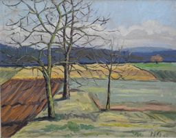 Klettgau AG SH ZH weite Ackerlandschaft monogr. 1947 Antik