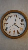 Orologio parete con animali