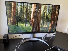 27 Inch 4K Monitor: LG 27UP850
