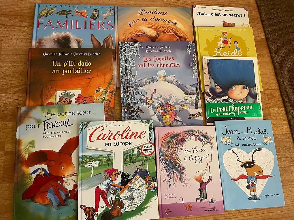 Libri: Lot de 11 livres divers en format "BD" – Usato da Yverdon-les-Bains venduto da mic_v8yx