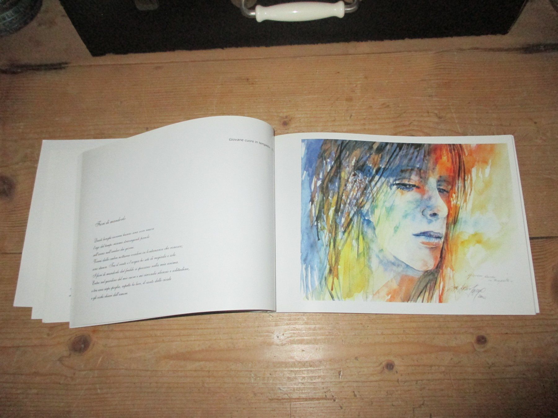 Libri: Anna Pavone PoesiArte – Usato da Flims - Dorf venduto da Stagediver 4