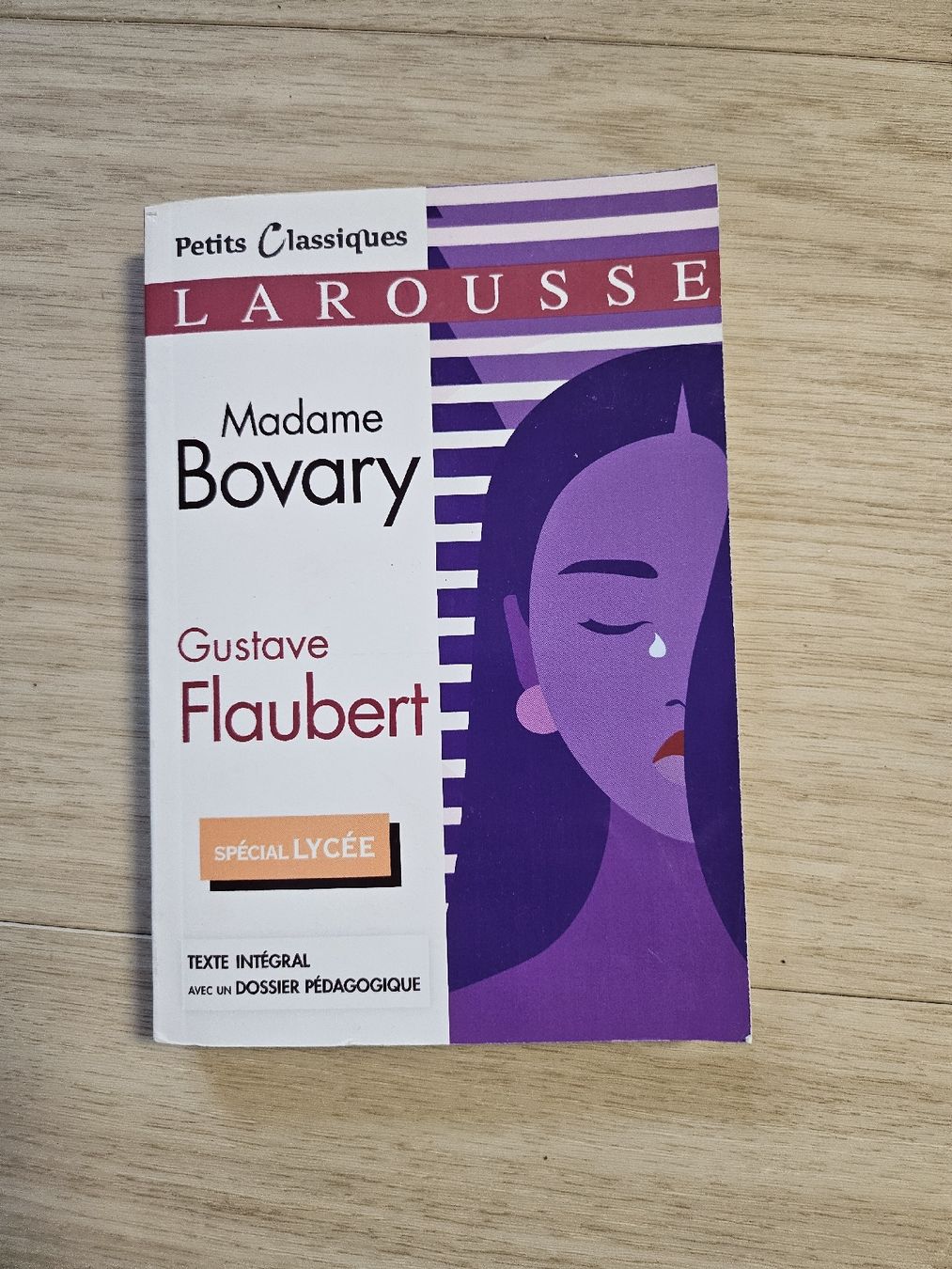 Libri: Madame Bovary - Gustave Flaubert - Spécial Lycée – Usato da La Joux FR venduto da car_ck96