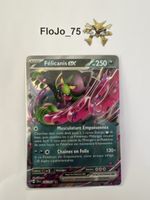 Félicanis ex 36/64 🇫🇷
