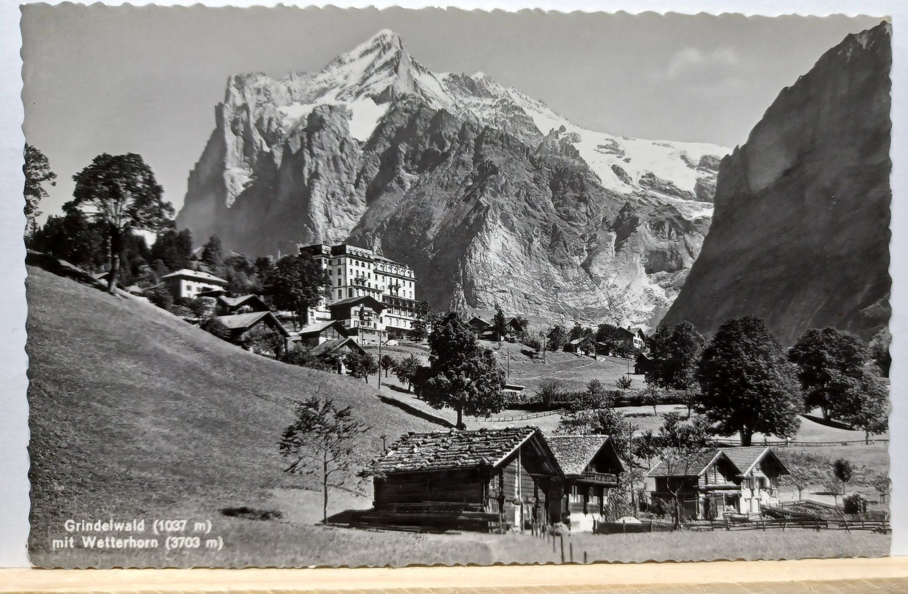 Cartoline postali: BE, 10854, Grindelwald mit Wetterhorn, – Usato da Aarau Rohr venduto da mgvw