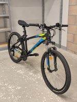 B TWIN Mountain Bike