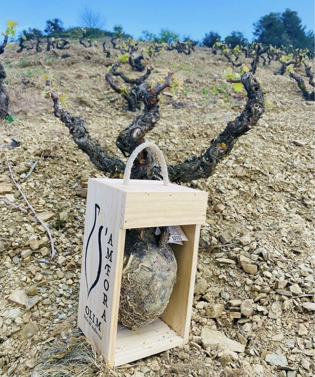 Vino: Vin DO Priorat en amphore 🏺 – Nuovo e nell'imballaggio originale da St-Prex venduto da mar_f6t6 1